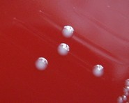 what hemolysis has enterococcus faecalis